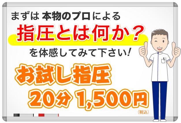 まずは本物のプロによる指圧とは何か?を体感してみて下さい!お試し指圧20分1,500円です